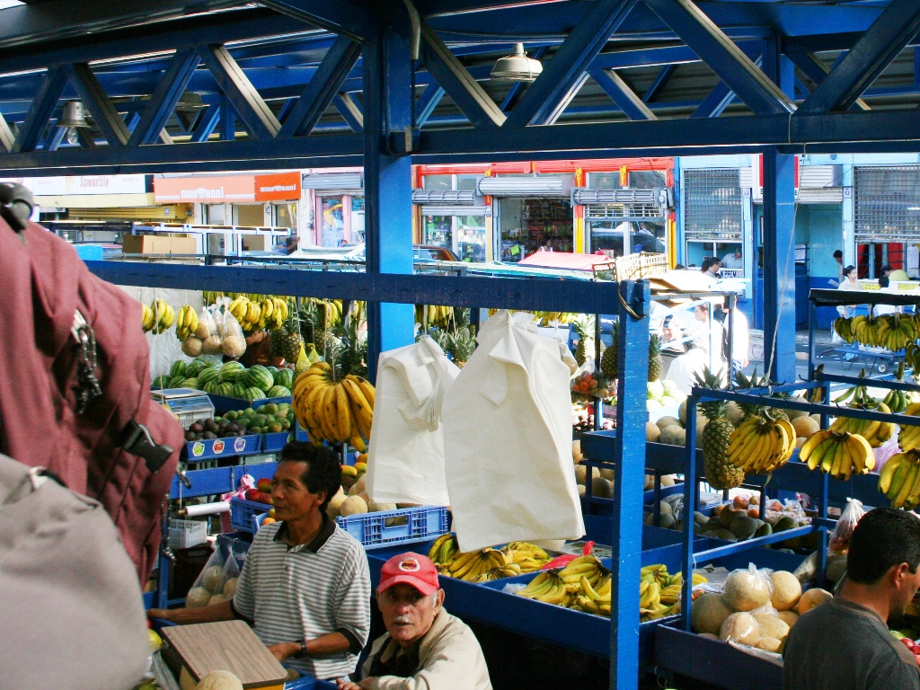 Markt unter Wellblechkonstrukt mit tropischen Früchten